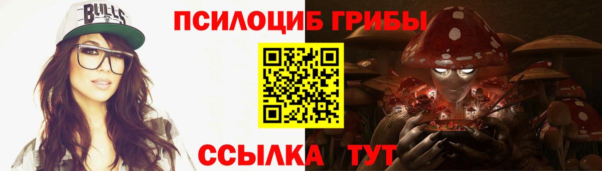 Псилоцибиновые грибы Magic Shrooms  Вход с VPN  Новокуйбышевск  Псилоцибиновые грибы Magic Shrooms 
